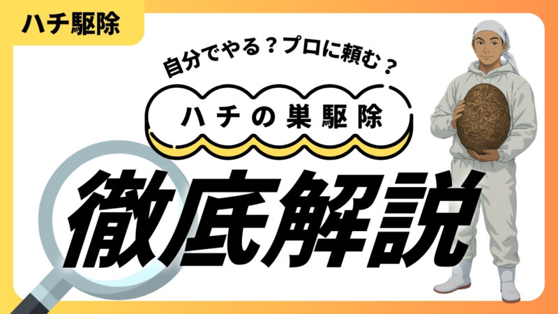 ハチの巣駆除徹底解説